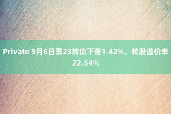 Private 9月6日景23转债下落1.42%,转股溢价率22.54%