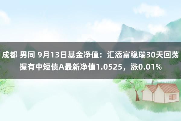 成都 男同 9月13日基金净值:汇添富稳瑞30天回荡握有中短债A最新净值1.0525,涨0.01%