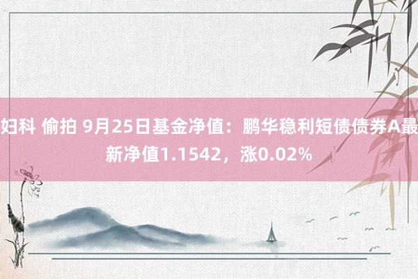 妇科 偷拍 9月25日基金净值：鹏华稳利短债债券A最新净值1.1542，涨0.02%