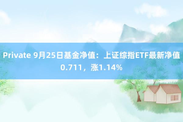 Private 9月25日基金净值:上证综指ETF最新净值0.711,涨1.14%