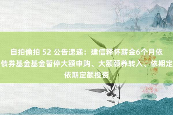 自拍偷拍 52 公告速递：建信释怀薪金6个月依期绽放债券基金基金暂停大额申购、大额颐养转入、依期定额投资