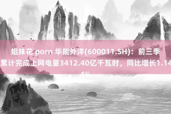 姐妹花 porn 华能外洋(600011.SH):前三季度累计完成上网电量3412.40亿千瓦时,同比增长1.14%