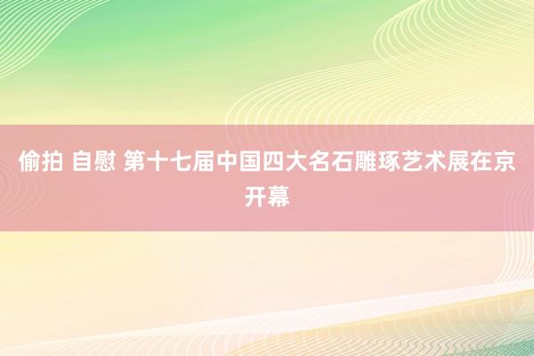 偷拍 自慰 第十七届中国四大名石雕琢艺术展在京开幕