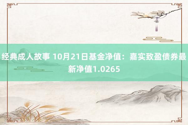 经典成人故事 10月21日基金净值:嘉实致盈债券最新净值1.0265