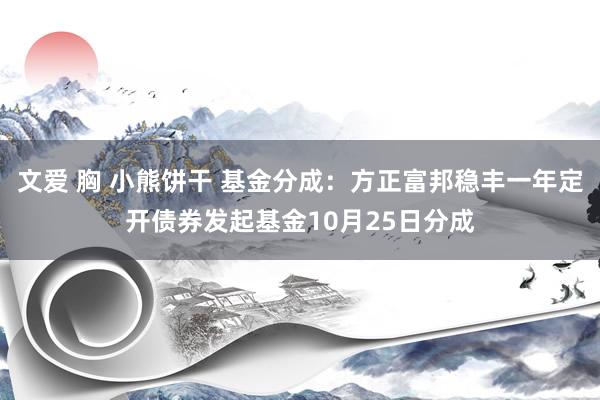 文爱 胸 小熊饼干 基金分成:方正富邦稳丰一年定开债券发起基金10月25日分成