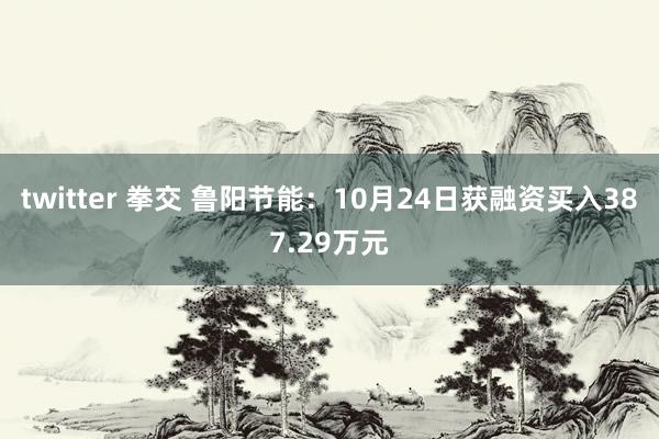 twitter 拳交 鲁阳节能:10月24日获融资买入387.29万元