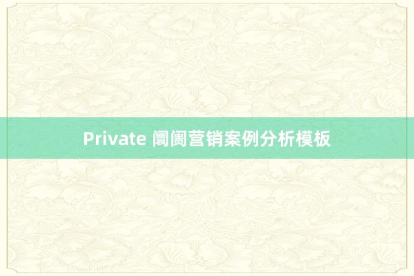 Private 阛阓营销案例分析模板