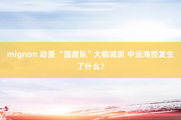 mignon 动漫 “国度队”大额减抓 中远海控发生了什么？