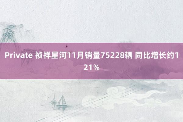Private 祯祥星河11月销量75228辆 同比增长约121%