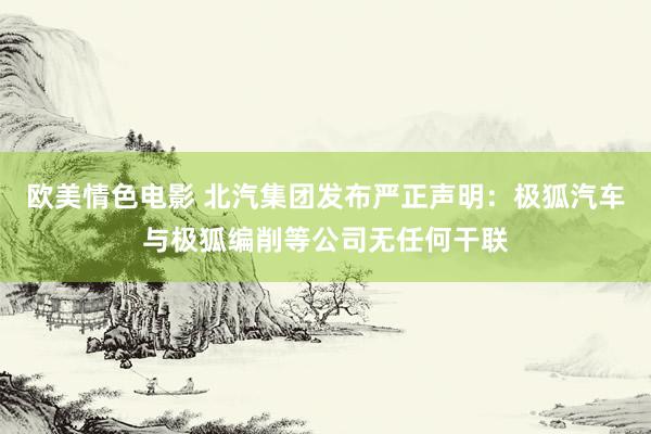 欧美情色电影 北汽集团发布严正声明：极狐汽车与极狐编削等公司无任何干联