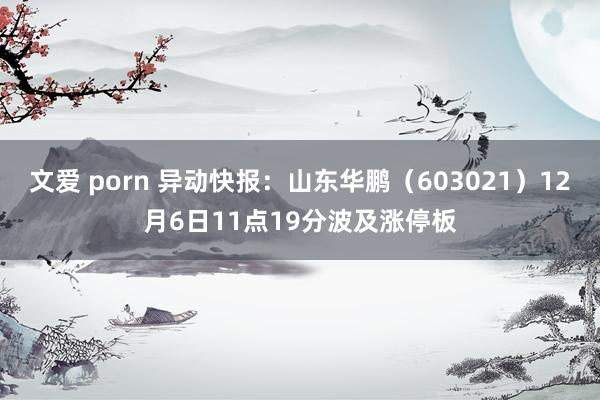 文爱 porn 异动快报：山东华鹏（603021）12月6日11点19分波及涨停板