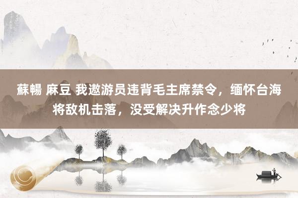 蘇暢 麻豆 我遨游员违背毛主席禁令，缅怀台海将敌机击落，没受解决升作念少将