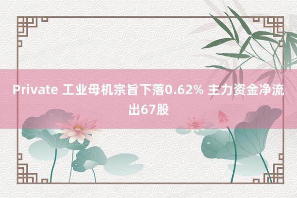 Private 工业母机宗旨下落0.62% 主力资金净流出67股