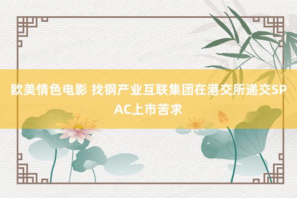 欧美情色电影 找钢产业互联集团在港交所递交SPAC上市苦求