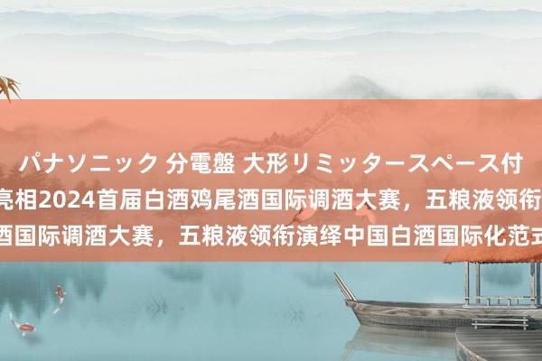 パナソニック 分電盤 大形リミッタースペース付 露出・半埋込両用形 亮相2024首届白酒鸡尾酒国际调