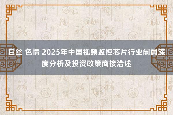 白丝 色情 2025年中国视频监控芯片行业阛阓深度分析及投资政策商接洽述