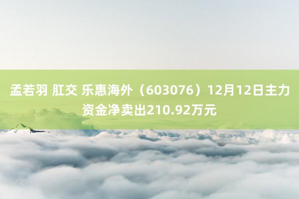 孟若羽 肛交 乐惠海外（603076）12月12日主力资金净卖出210.92万元