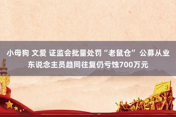 小母狗 文爱 证监会批量处罚“老鼠仓” 公募从业东说念主员趋同往复仍亏蚀700万元