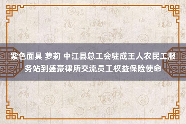 紫色面具 萝莉 中江县总工会驻成王人农民工服务站到盛豪律所交流员工权益保险使命