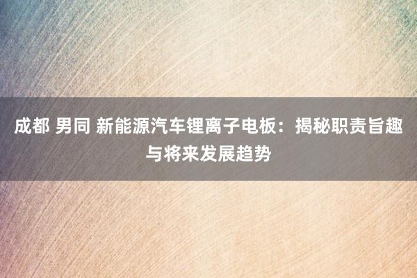 成都 男同 新能源汽车锂离子电板：揭秘职责旨趣与将来发展趋势