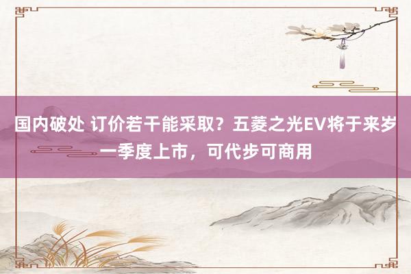 国内破处 订价若干能采取？五菱之光EV将于来岁一季度上市，可代步可商用