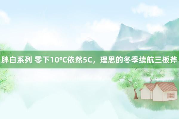 胖白系列 零下10℃依然5C，理思的冬季续航三板斧