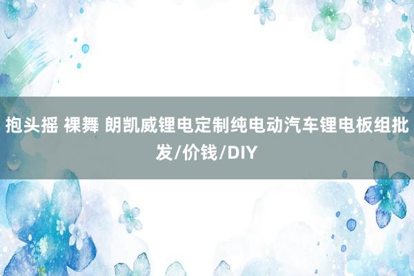 抱头摇 裸舞 朗凯威锂电定制纯电动汽车锂电板组批发/价钱/DIY