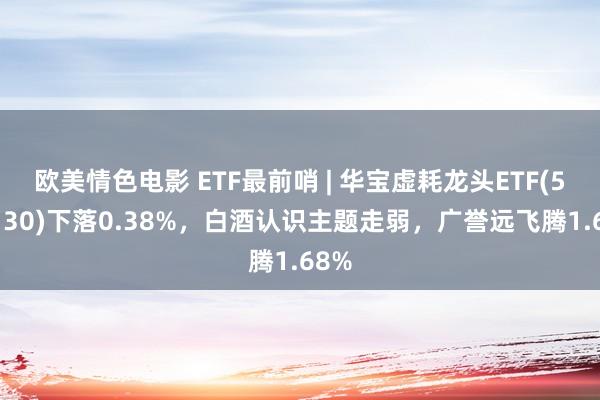 欧美情色电影 ETF最前哨 | 华宝虚耗龙头ETF(516130)下落0.38%，白酒认识主题走弱，