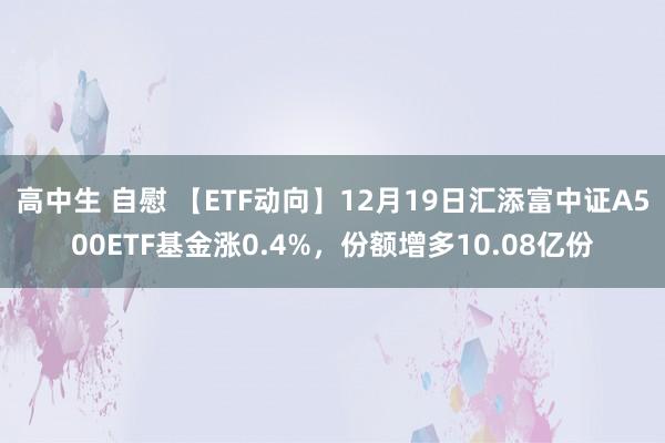 高中生 自慰 【ETF动向】12月19日汇添富中证A500ETF基金涨0.4%，份额增多10.08亿份