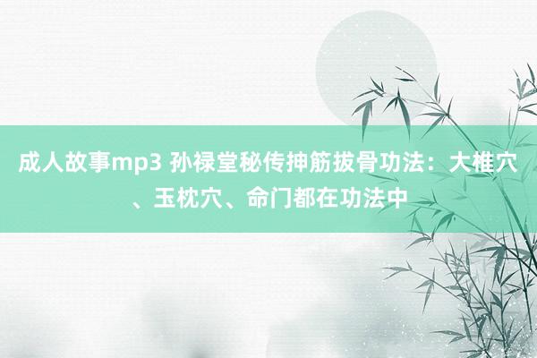 成人故事mp3 孙禄堂秘传抻筋拔骨功法：大椎穴、玉枕穴、命门都在功法中