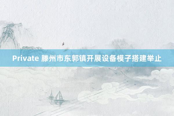Private 滕州市东郭镇开展设备模子搭建举止