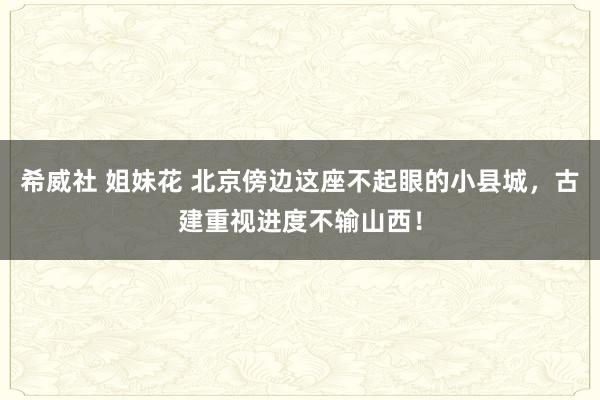 希威社 姐妹花 北京傍边这座不起眼的小县城，古建重视进度不输山西！