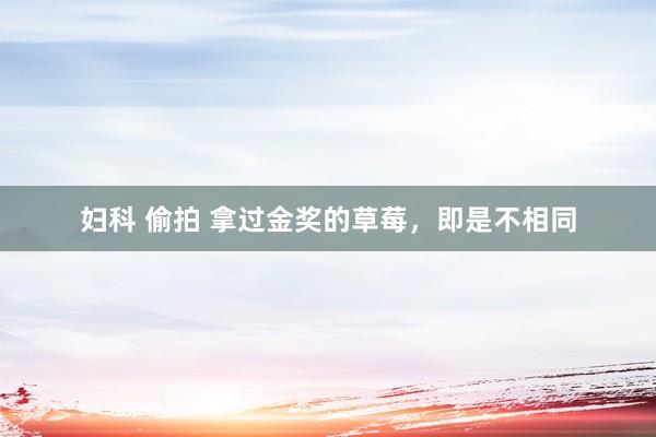 妇科 偷拍 拿过金奖的草莓，即是不相同