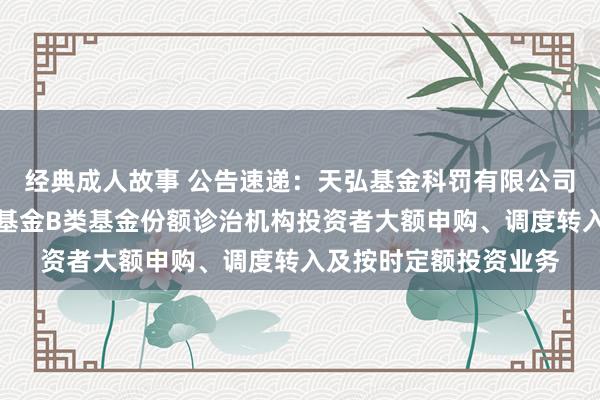 经典成人故事 公告速递：天弘基金科罚有限公司对于天弘弘运宝货币基金B类基金份额诊治机构投资者大额申购、调度转入及按时定额投资业务