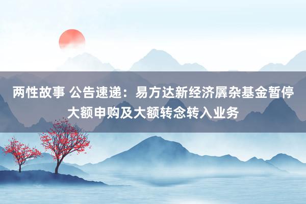 两性故事 公告速递：易方达新经济羼杂基金暂停大额申购及大额转念转入业务