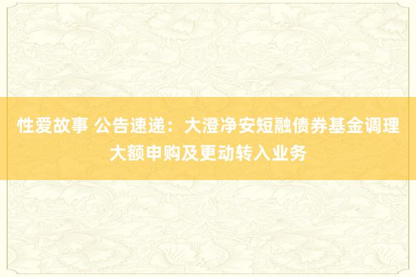 性爱故事 公告速递：大澄净安短融债券基金调理大额申购及更动转入业务