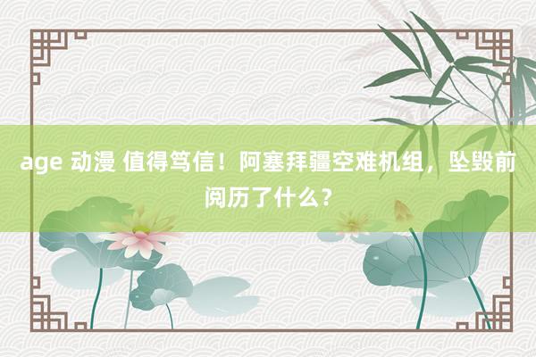 age 动漫 值得笃信！阿塞拜疆空难机组，坠毁前阅历了什么？