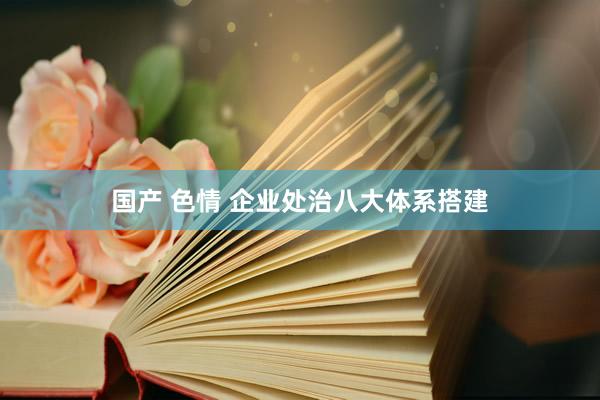 国产 色情 企业处治八大体系搭建