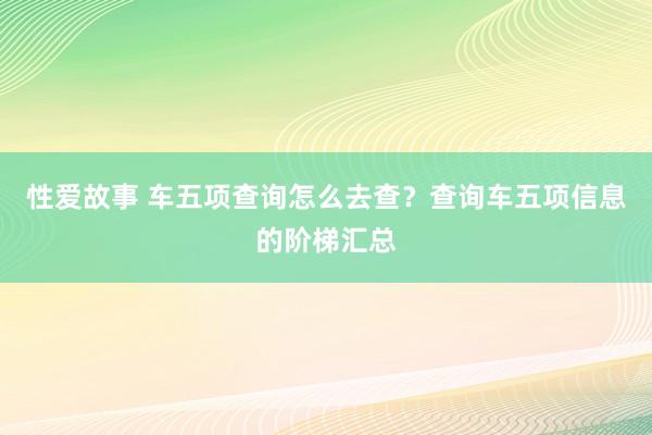 性爱故事 车五项查询怎么去查？查询车五项信息的阶梯汇总