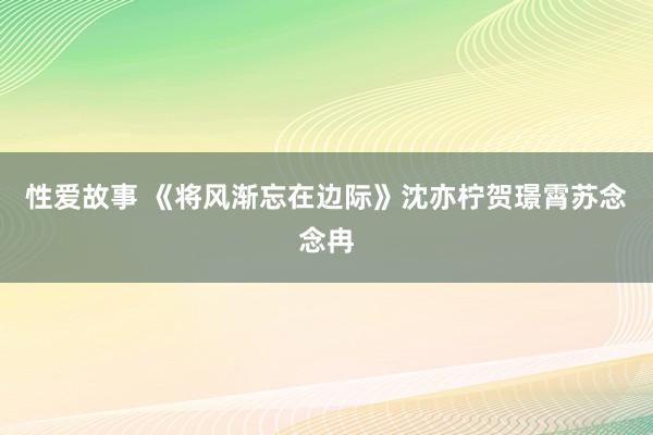性爱故事 《将风渐忘在边际》沈亦柠贺璟霄苏念念冉