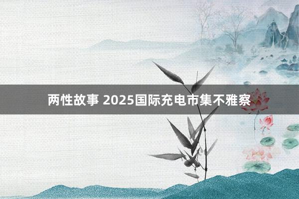 两性故事 2025国际充电市集不雅察