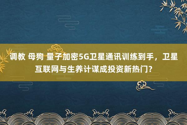 调教 母狗 量子加密5G卫星通讯训练到手，卫星互联网与生养计谋成投资新热门？