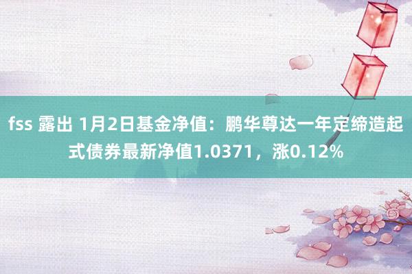 fss 露出 1月2日基金净值：鹏华尊达一年定缔造起式债券最新净值1.0371，涨0.12%