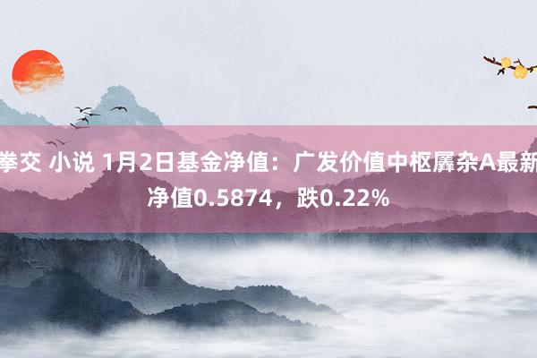 拳交 小说 1月2日基金净值：广发价值中枢羼杂A最新净值0.5874，跌0.22%