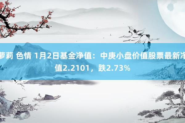 萝莉 色情 1月2日基金净值：中庚小盘价值股票最新净值2.2101，跌2.73%