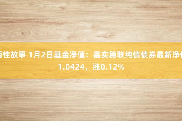 两性故事 1月2日基金净值：嘉实稳联纯债债券最新净值1.0424，涨0.12%