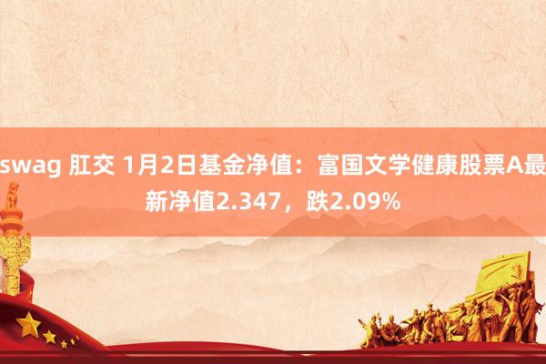 swag 肛交 1月2日基金净值：富国文学健康股票A最新净值2.347，跌2.09%