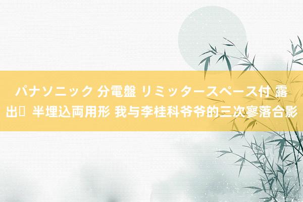 パナソニック 分電盤 リミッタースペース付 露出・半埋込両用形 我与李桂科爷爷的三次寥落合影