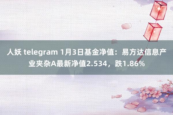 人妖 telegram 1月3日基金净值：易方达信息产业夹杂A最新净值2.534，跌1.86%