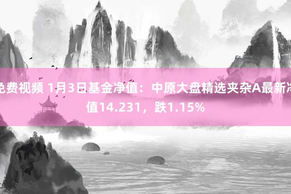 免费视频 1月3日基金净值：中原大盘精选夹杂A最新净值14.231，跌1.15%